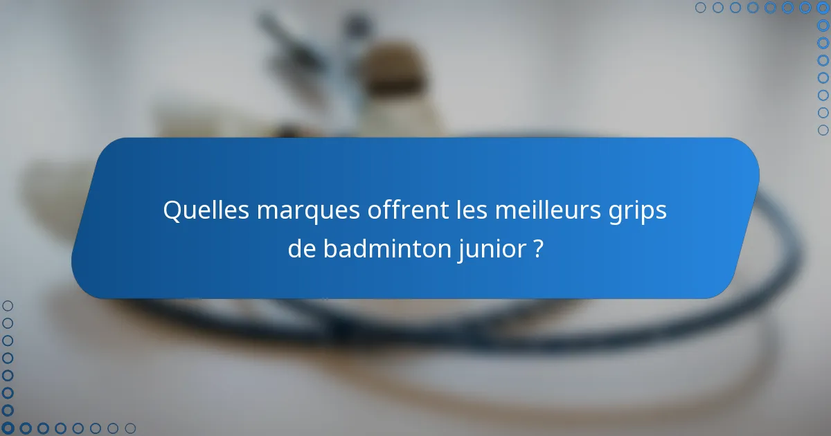Quelles marques offrent les meilleurs grips de badminton junior ?
